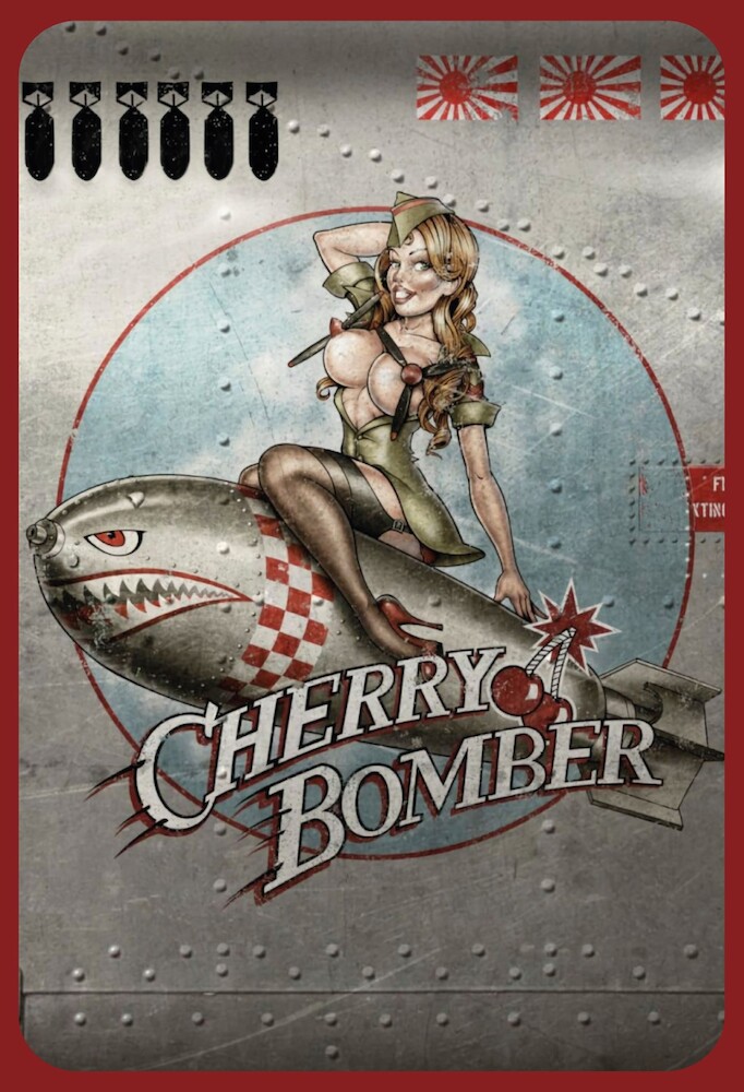 AV0018 Cherry Bomber Pin up metal poster metal sign