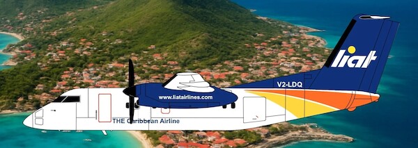 De Havilland Dash 8-Q100 Liat V2-LDQ 3DD0151