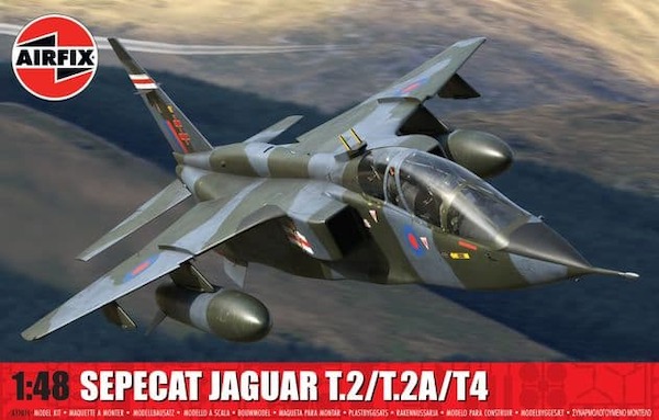 Sepecat Jaguar T2/T4 AF11011
