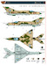 Mikoyan MiG21 in Ukrainian service CPD72012