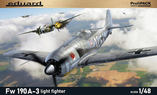 Focke Wulf FW190A-3 Light Fighter  82141