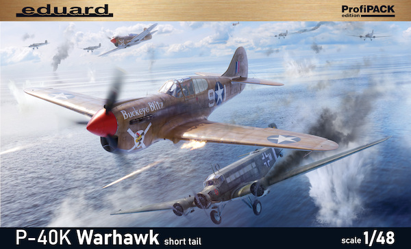 Curtiss P40K Warhawk Profipack 82243