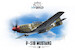 P-51B Mustang (LAST STOCK) 932011