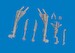 F35A Lightning II Undercarriage Legs set (Tamiya) E6481219
