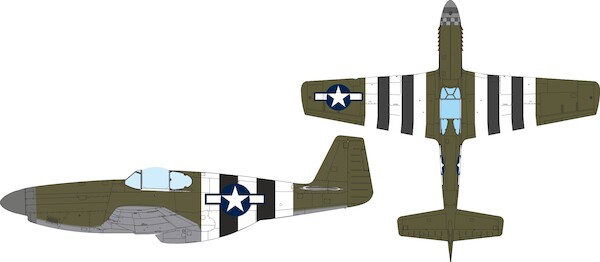 Mask P51B Mustang National; Insignia and D Day Stripes (Eduard) jx354