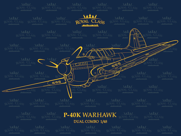 Curtiss P40K Warhawk Dual combo R0024
