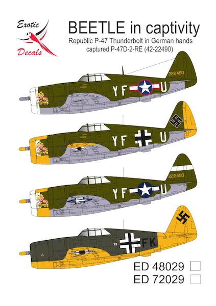 Beetle in Captivity, Republic P47D-2 Thunderbolt (42-22490) in German hands ed48029