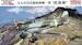 Mitsubishi Ki15-1 "Babs" (The Tiger Squadron) FMFB23