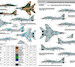 Ukrainian Fulcrums, MiG29 9-12 Ukrainian AF decals (Non digital schemes) FOX72-061