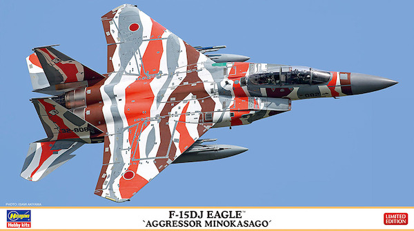 F15DJ Eagle (Aggressor Minokasago Scheme JASDF)  02415