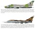 Operations Odyssey Dawn and Unified Protector: NATO and the Air War over Libya, 2011-2020 9781806720248