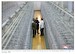 The Armed Forces of North Korea Volume 4: Special Operations Force and Missile General Bureau 9781806722808