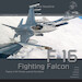 Lockheed-Martin F-16 Fighting Falcon 002