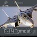 F14 Tomcat Flying with US Navy and IRIAF (LAST STOCKS - NOW OUT OF PRINT) 037