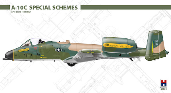 A10C Thunderbolt (USAF  Special Schemes)  48029