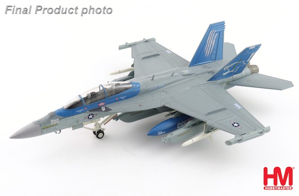 E/A-18G Growler US Navy 168256, VAQ-139 "Cougars", USN, 2025 HA5160