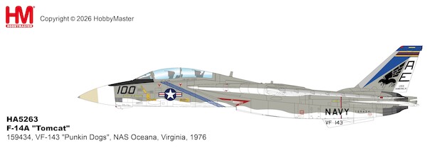 Grumman F14A Tomcat US Navy 159434, VF-143 "Punkin Dogs", NAS Oceana, Virginia, 1976 HA5263