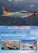 Pilatus PC-21. Turbohélice de entrenamiento