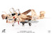 EA6B Prowler US Navy VAQ-133 Wizards, Afghanistan, 2007 JCW-72-EA6B-005