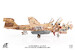 EA6B Prowler US Navy VAQ-133 Wizards, Afghanistan, 2007 JCW-72-EA6B-005
