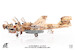 EA6B Prowler US Navy VAQ-133 Wizards, Afghanistan, 2007 JCW-72-EA6B-005
