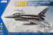 F16C/D Block 52  Fighting Falcon (Polish AF, Tigermeet) 0948076