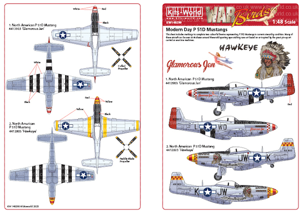 P-51D Mustang "Modern Day Mustangs" 2 KW148290