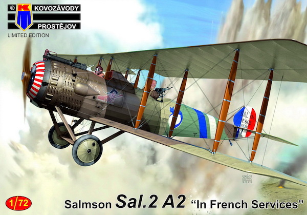 Salmson Sal.2A2 'In French Service'  KPM0333