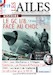 Les Ailes No 19: Saga GC I/8. 4ème partie : Sur le Front de l’Est