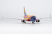Boeing 737-700 Southwest Airlines "Arizona One" N955WN 05029