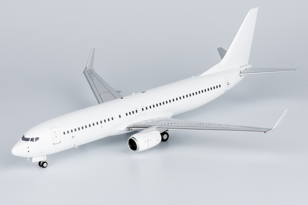 Boeing 737-800 Blank Model  08000