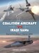Duel 148 Coalition Aircraft versus IRAQI SAM’s