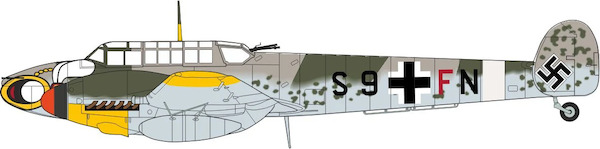 Messerschmitt BF110G Luftwaffe II./ZG 1 Wespen, S9+FN, Montecorvino, Italy, Summer 1943 AC115