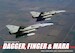 Dagger, Finger and Mara in Argentina FAA19