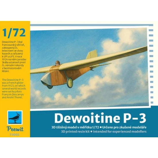 Dewoitine P3 glider 73002