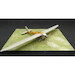 Dewoitine D7 Light Sport Aircraft 73003