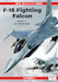 F16 Fighting Falcon Part 1: US Versions RTR F16