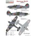 Hurricane Mk.IIB/C (Portugese AF) PTC48001
