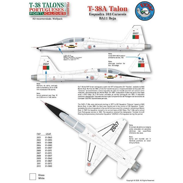 T-38A Talon (Portugese AF) PTC48007