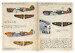 Curtiss P-40 In the service of foreign armies. Part-1 PRS72-524