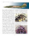 Project 083, 70 years of Starfighter (Expected September 2026) 9791296584020