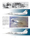 Project 083, 70 years of Starfighter (Expected September 2026) 9791296584020