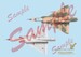 South African Air Force in Profile Artwork: Mirage III n SAAF Service Vol 1: Mirage IIICZ and Mirage IIIBZ1946-1960 9781049273...