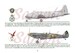South African Air Force in Profile Artwork Volume 4 1946-1960 9781049273792