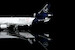 McDonnell Douglas MD11 Lufthansa Cargo "Thank you MD-11, Farewell" D-ALCC Interactive Series L2104C