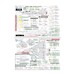 Mirage 2000 Standard - Grey green Mirages 72-923