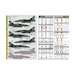 Mirage 2000 Standard - Grey green Mirages 72-923
