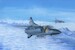 Mikoyan MiG23M "Flogger B" TR02853