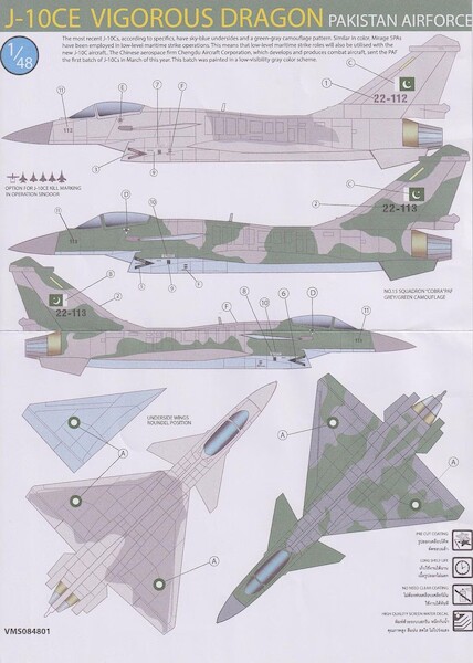 J10CE Vigorous Dragon (Pakistan AF) VMS084801