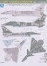 J10CE Vigorous Dragon (Pakistan AF) VMS084801